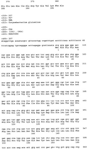 Гены corynebacterium glutamicum, кодирующие белки, участвующие в метаболизме углерода и продуцировании энергии (патент 2321634)