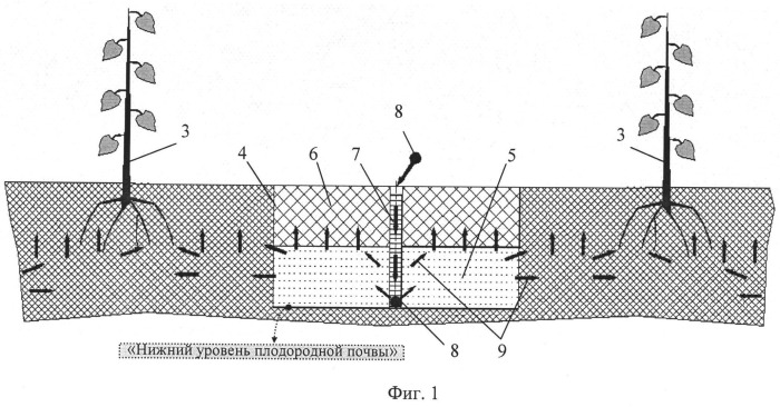 Способ повышения плодородности почвы для древесных и травянистых культур (вариант русской логики - версия 3) (патент 2532122)