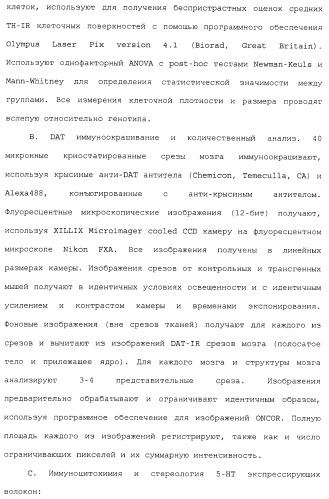 Комбинация агонистов альфа 7 никотиновых рецепторов и антипсихотических средств (патент 2481123)