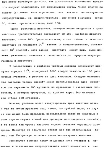 Vgc2 днк salmonella typhimurium, мутантная бактерия, обладающая пониженной способностью к адаптации к условиям окружающей среды, и способ ее получения (патент 2370541)
