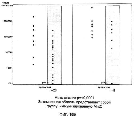 Иммуногенные композиции антигенов staphylococcus aureus (патент 2536981)