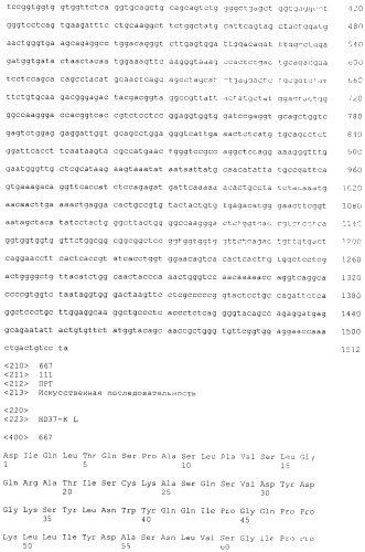 Pscaxcd3, cd19xcd3, c-metxcd3, эндосиалинxcd3, epcamxcd3, igf-1rxcd3 или fap-альфаxcd3 биспецифическое одноцепочечное антитело с межвидовой специфичностью (патент 2547600)