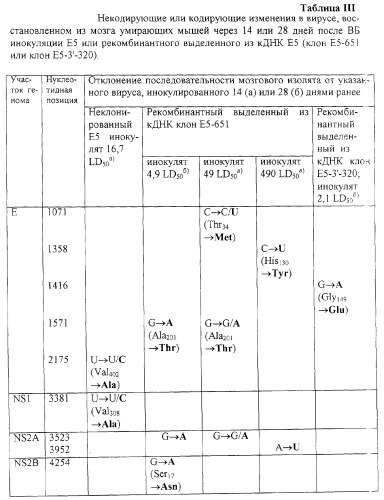 Инфекционные клоны полномерной кднк клещевого флавивируса (патент 2288266)