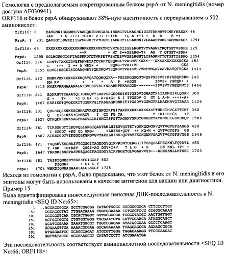 Антигены neisseria meningitidis (патент 2343159)