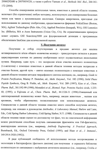 Чипы на основе антител для определения множественных трансдукторов сигналов в редких циркулирующих клетках (патент 2442171)