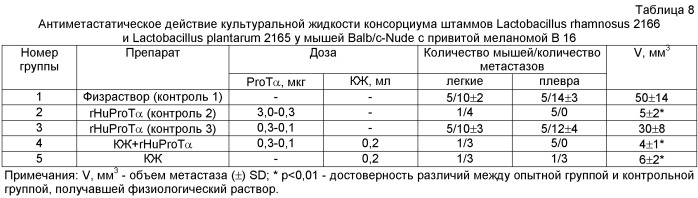 Консорциум пробиотических штаммов lactobacillus rhamnosus и lactobacillus plantarum для изготовления бактериального препарата и закваски прямого внесения для производства ферментированного молока и ферментированного свекольного сока (патент 2506308)