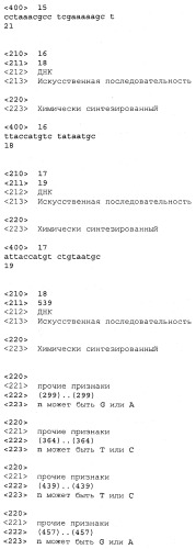 Подсолнечник с низким содержанием насыщенных жиров и соответствующие способы (патент 2489849)