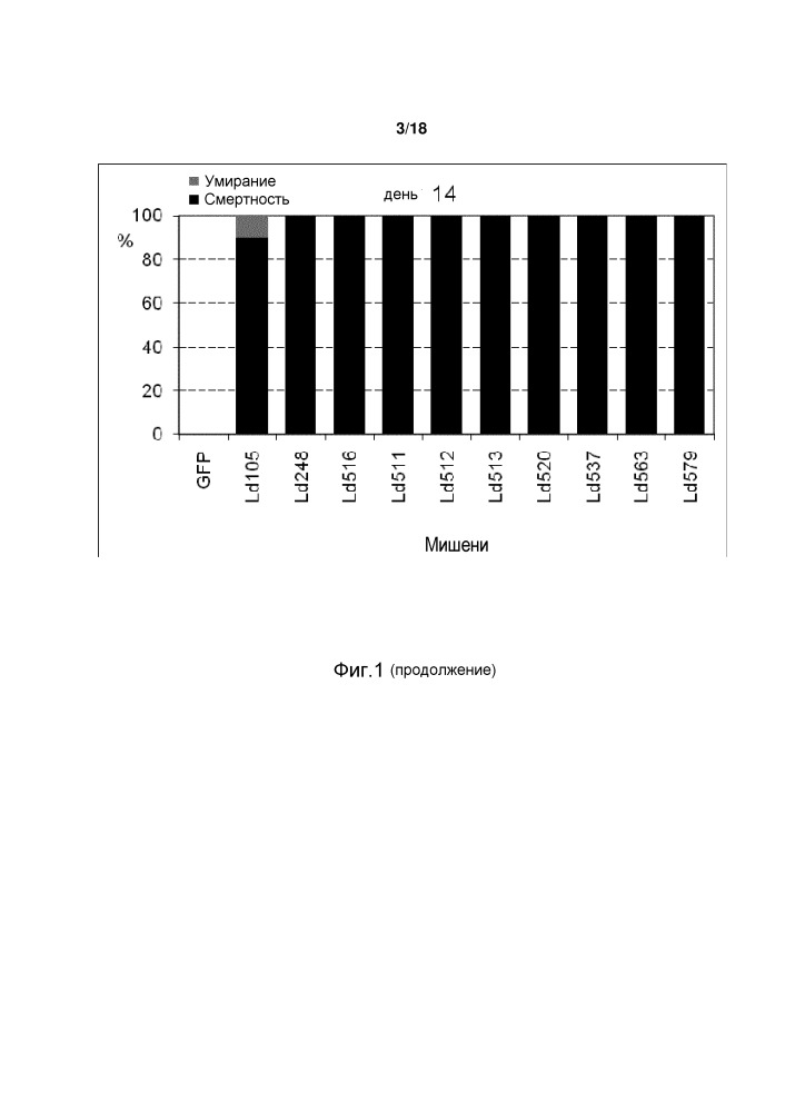 Уменьшение экспрессии генов у насекомых-вредителей (патент 2662995)