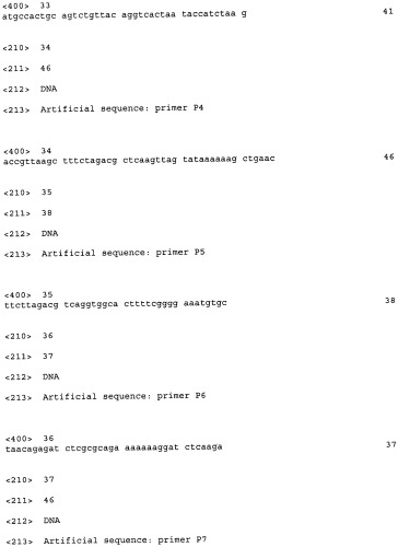 Способ конструирования рекомбинантных бактерий, принадлежащих к роду pantoea, и способ продукции l-аминокислот с использованием бактерий, принадлежащих к роду pantoea (патент 2418069)