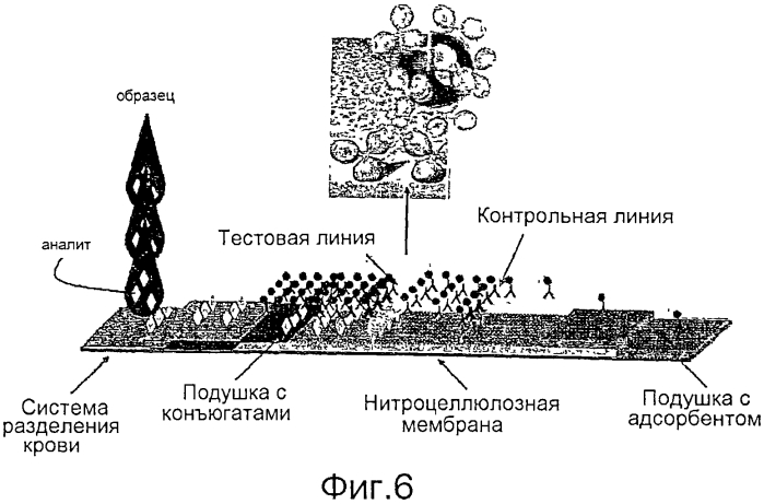 Устройства, способы и наборы для иммунохроматографии (патент 2568875)