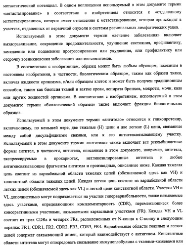 Моноклональные антитела к клаудину-18 для лечения рака (патент 2445319)
