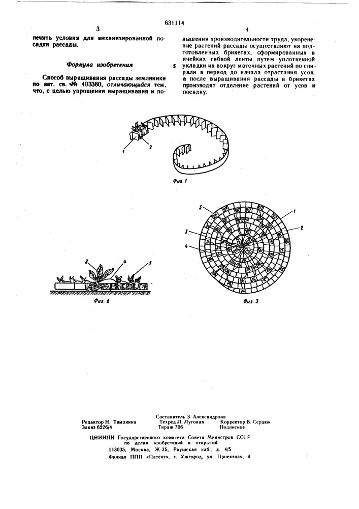 Способ выращивания рассады земляники (патент 631114)