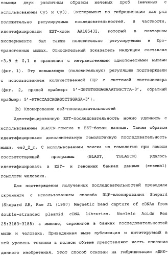 Ее3-семейство белков и соответствующие днк-последовательности (патент 2333918)