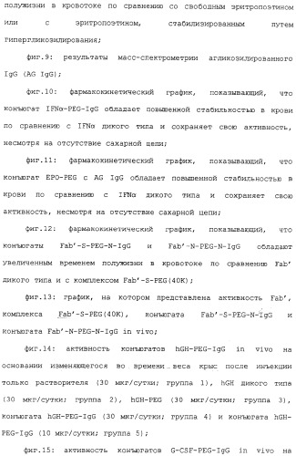 Физиологически активный полипептидный конъюгат, обладающий пролонгированным периодом полувыведения in vivo (патент 2312868)