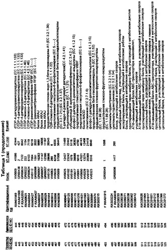 Гены corynebacterium glutamicum, кодирующие белки, участвующие в метаболизме углерода и продуцировании энергии (патент 2310686)