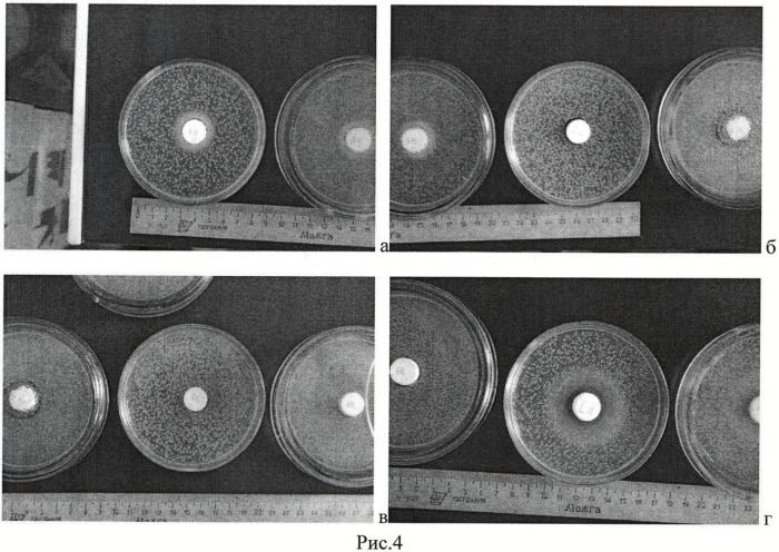 Способ получения пористой керамики из гидроксиапатита, обладающей антимикробной активностью (патент 2475461)