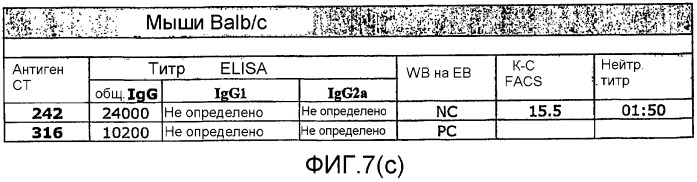 Иммуногенная композиция на основе антигена chlamydia trachomatis (варианты) и ее использование (патент 2352356)