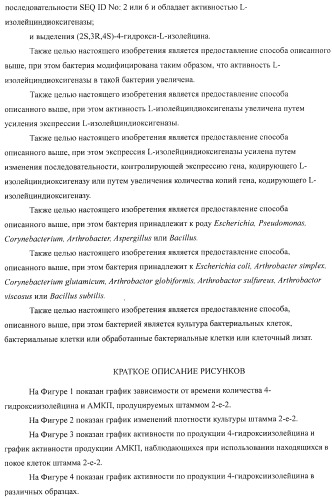 Способ продукции 4-гидрокси-l-изолейцина (патент 2402608)