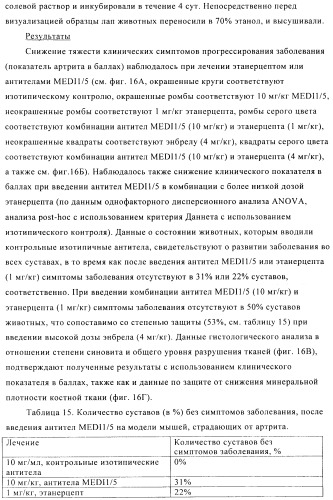 Стабилизированные антитела против ангиопоэтина-2 и их применение (патент 2509085)