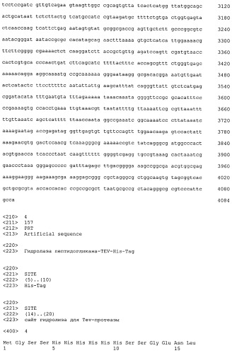 Гидролаза пептидогликана, экспрессионная плазмида, содержащая фрагмент днк, кодирующий гидролазу пептидогликана, бактерия-продуцент и способ микробиологического синтеза гидролазы пептидогликана (патент 2547584)