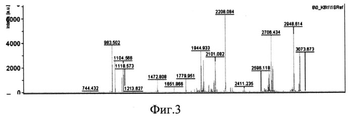 Штамм бактерии esherichia coli ex pqe30, продуцент эндоксиланазы бактерии geobacillus stearothermophillus 22 (патент 2542486)