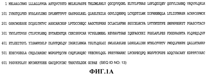 Терапия злокачественной опухоли, резистентной к препаратам на основе платины (патент 2403065)