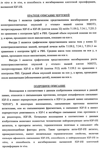 Связывающие протеины, специфичные по отношению к инсулин-подобным факторам роста, и их использование (патент 2492185)