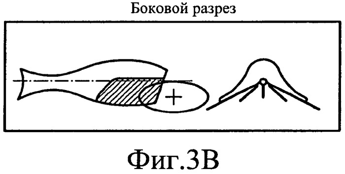 Способ удаления выступившей при филетировании крови с хребтовой кости рыб и устройство для удаления такой крови (патент 2558437)