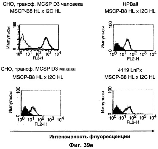 Pscaxcd3, cd19xcd3, c-metxcd3, эндосиалинxcd3, epcamxcd3, igf-1rxcd3 или fap-альфаxcd3 биспецифическое одноцепочечное антитело с межвидовой специфичностью (патент 2547600)