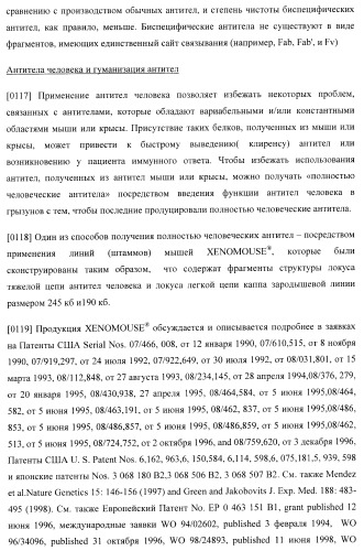 Антитела, специфичные к фактору некроза опухолей, и их применение (патент 2377253)