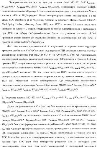 Бактерия - продуцент 1-бутанола и способ получения 1-бутанола (патент 2431672)
