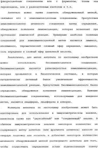 Белок ifnab-bpi, его предшественник, молекула днк, экспрессирующий вектор, способ продуцирования, фармацевтическая композиция для ингибирования активности ifn-  или ifn-  (патент 2336279)