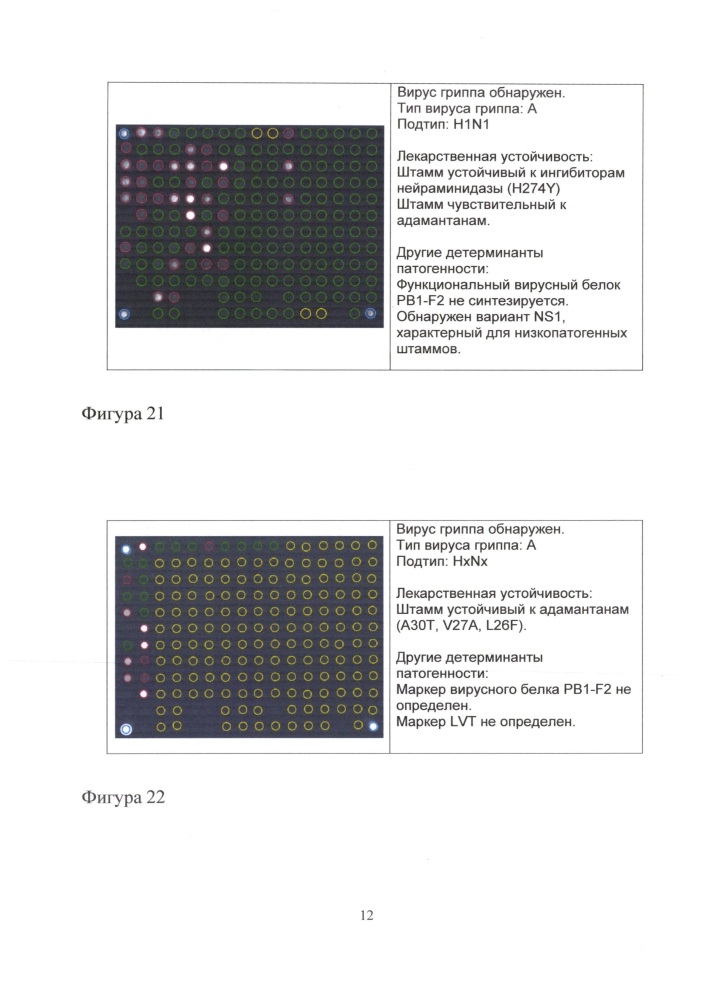 Способ идентификации рнк вирусов гриппа а и в с одновременным определением вариантов гемагглютинина и нейраминидазы вируса гриппа а, идентификацией генетических маркеров патогенности и устойчивости к противогриппозным препаратам на биологических микрочипах, биочип, набор олигонуклеотидных зондов, используемые в способе (патент 2603000)