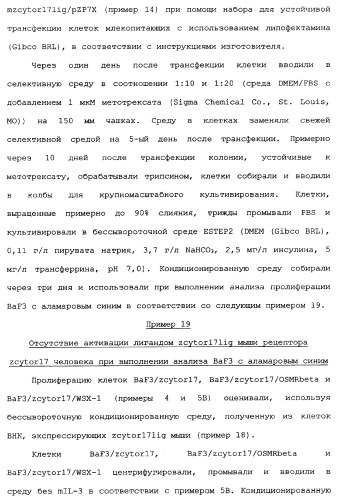 Новый лиганд рецептора цитокина zcytor17 (патент 2360923)