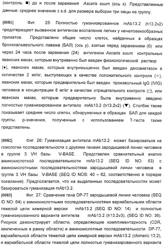 Антитела против интерлейкина-13 человека и их применение (патент 2427589)