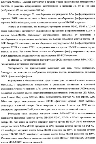 Белки, связывающие антиген фактор роста, подобный гепаринсвязывающему эпидермальному фактору роста (патент 2504551)