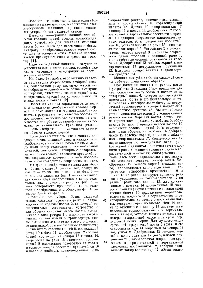 Машина для уборки ботвы сахарной свеклы (патент 1097224)