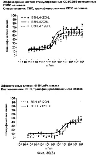 Pscaxcd3, cd19xcd3, c-metxcd3, эндосиалинxcd3, epcamxcd3, igf-1rxcd3 или fap-альфаxcd3 биспецифическое одноцепочечное антитело с межвидовой специфичностью (патент 2547600)