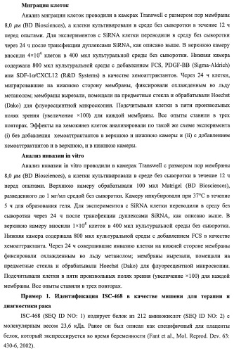 Идентификация опухолевых антигенов для диагностики и терапии (патент 2485974)