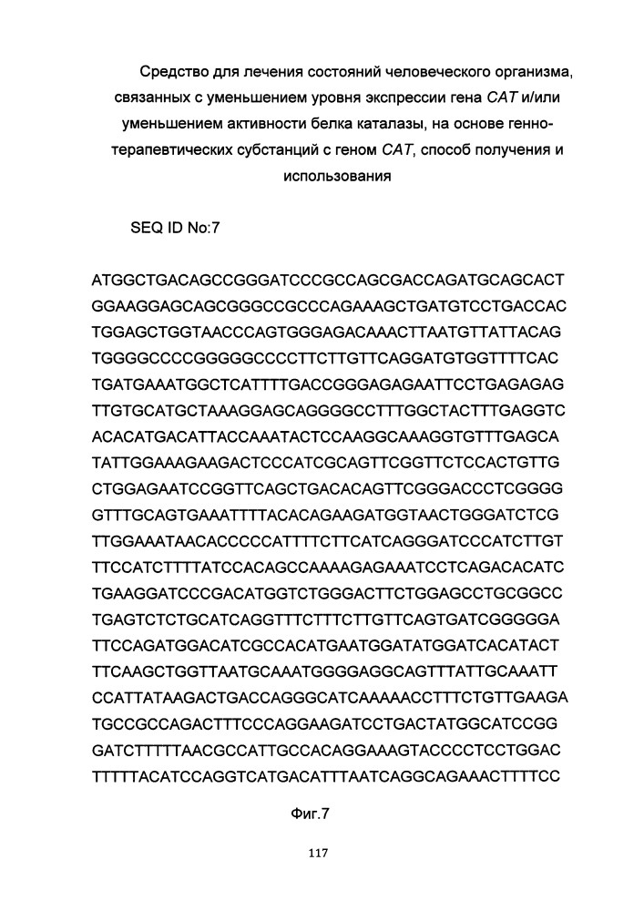 Средство для лечения состояний человеческого организма, связанных с уменьшением уровня экспрессии гена сат и/или уменьшением активности белка каталазы на основе генно-терапевтических субстанций с геном сат, способ получения и использования (патент 2649814)