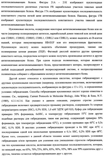 Белки, связывающие антиген фактор роста, подобный гепаринсвязывающему эпидермальному фактору роста (патент 2504551)