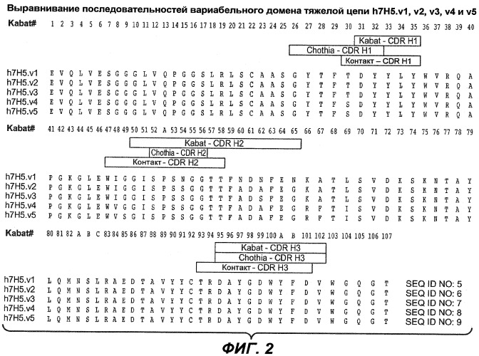 Новые антитела (патент 2490277)