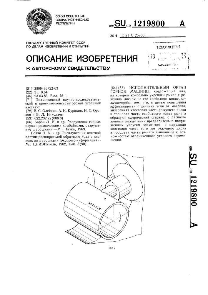 Исполнительный орган горной машины (патент 1219800)