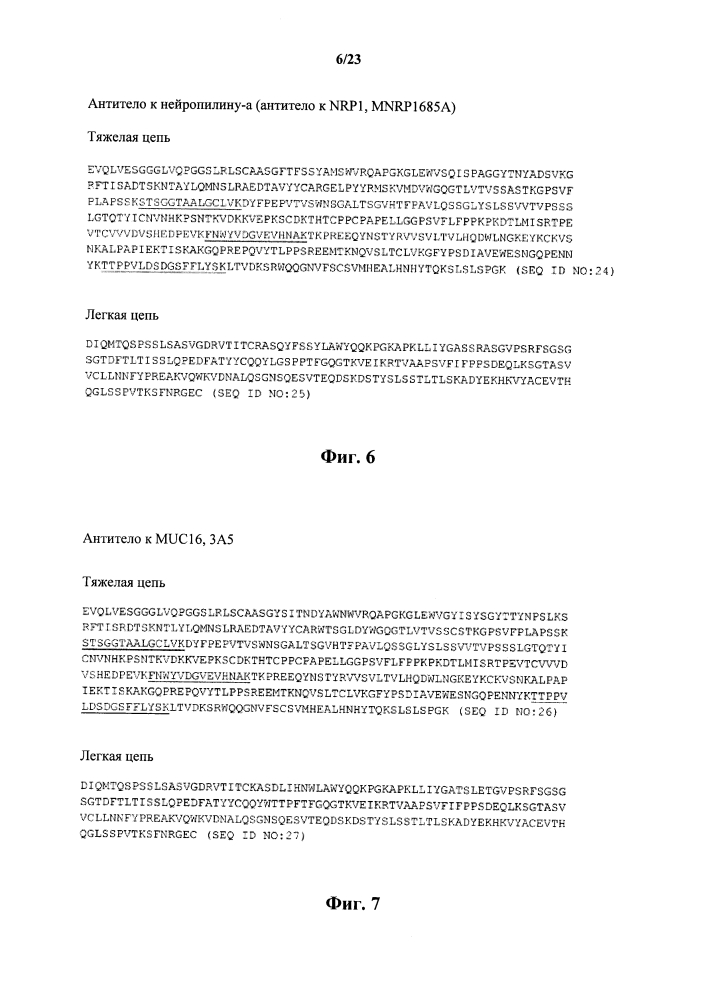 Lc-ms/ms способ мониторинга множественных реакций для выявления терапевтических антител в образцах животных с помощью каркасных сигнатурных пептидов (патент 2638806)