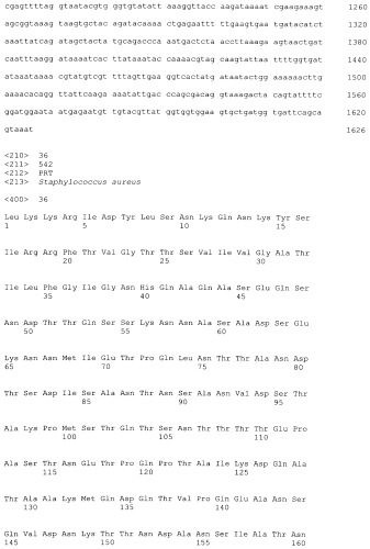 Стабильные иммуногенные композиции антигенов staphylococcus aureus (патент 2570730)