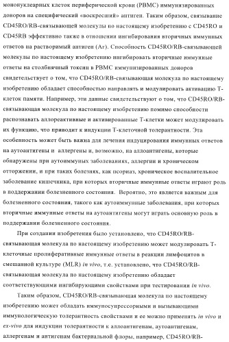 Терапевтические связывающие молекулы в виде химерного антитела (патент 2405790)