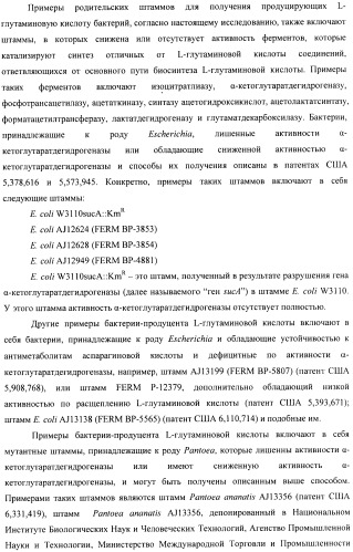 Способ конструирования оперонов, содержащих трансляционно сопряженные гены (патент 2411292)