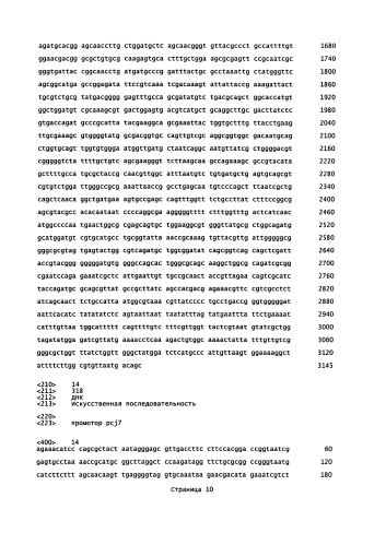 Микроорганизмы corynebacterium, способные утилизировать ксилозу, и способ получения l-лизина с применением таких микроорганизмов (патент 2584593)