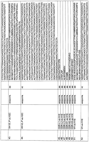 Pscaxcd3, cd19xcd3, c-metxcd3, эндосиалинxcd3, epcamxcd3, igf-1rxcd3 или fap-альфаxcd3 биспецифическое одноцепочечное антитело с межвидовой специфичностью (патент 2547600)