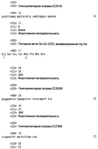 Новый лиганд рецептора цитокина zcytor17 (патент 2360923)